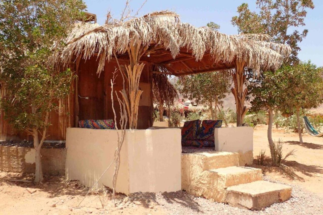 فندق طابافي  Bedouin Star المظهر الخارجي الصورة